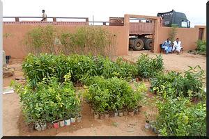 ADIG, Word Vision et USAID, des Partenaires pour La RNA : une alternative pour la sauvegarde de l’environnement en Mauritanie.